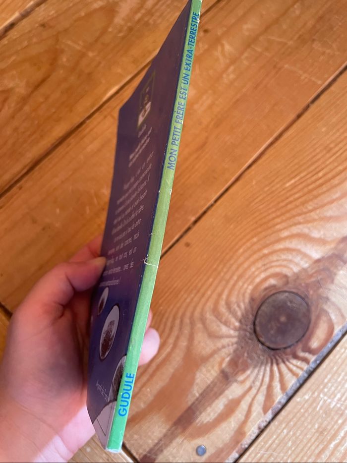 Livre - Mon petit frère est un extra-terrestre - photo numéro 3