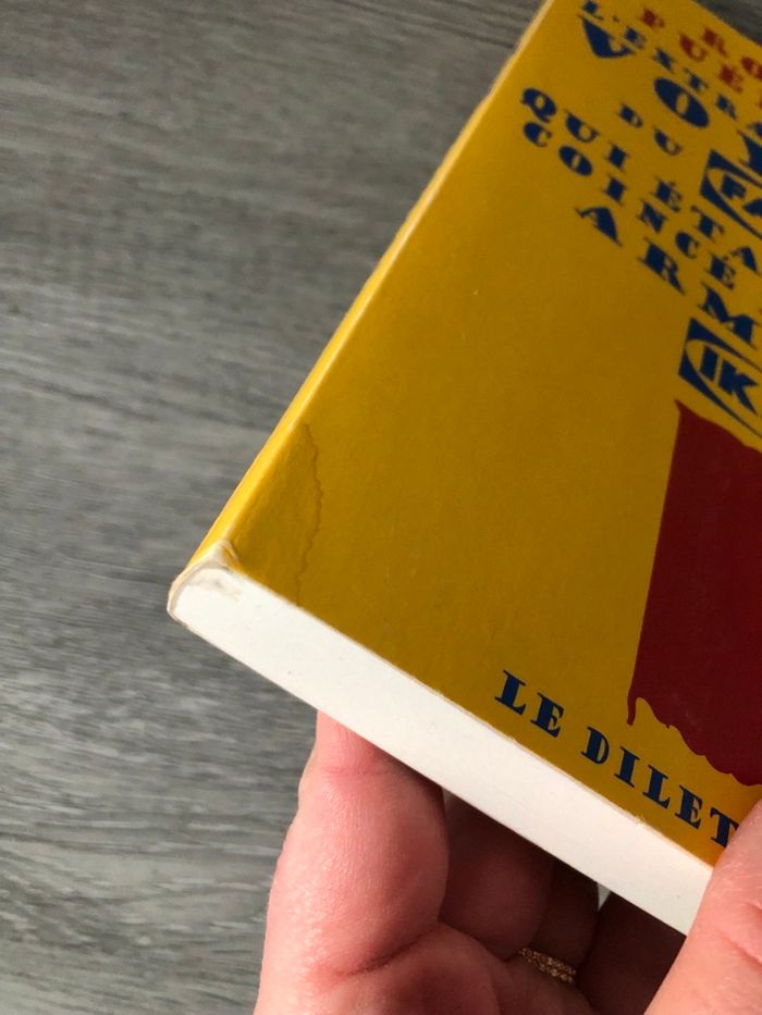 L’extraordinaire voyage du fakir - photo numéro 3