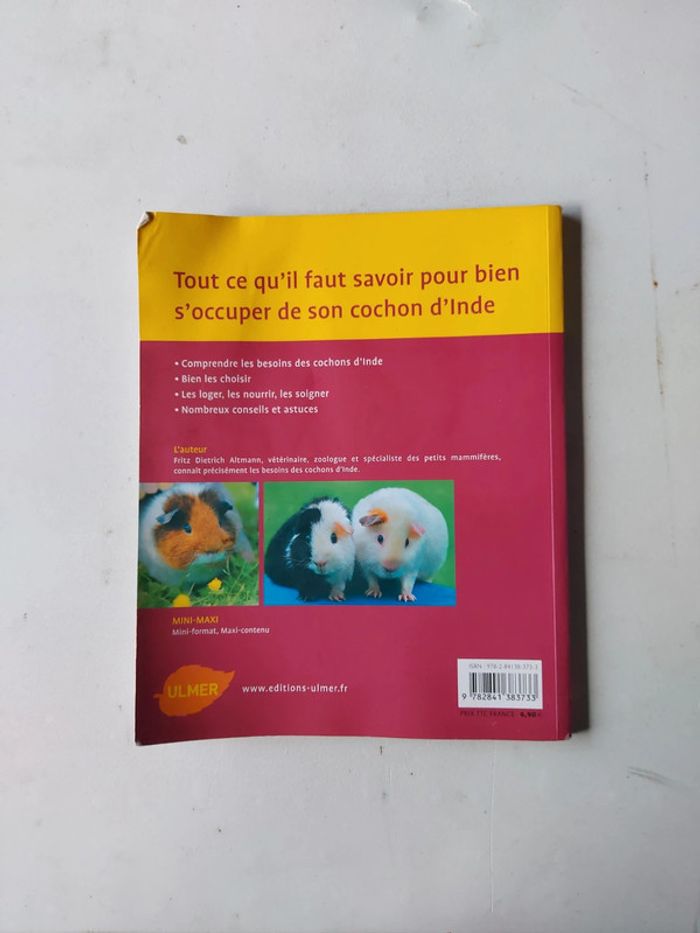 Cochons d'inde - photo numéro 2