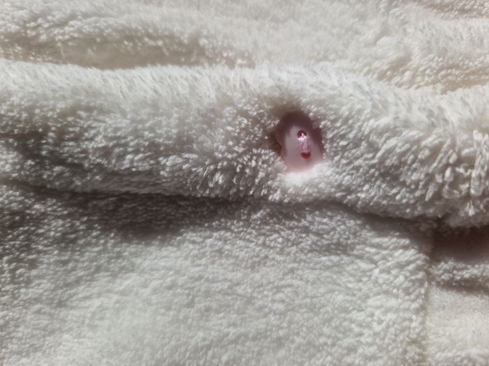 gilet bébé sans manches - photo numéro 5