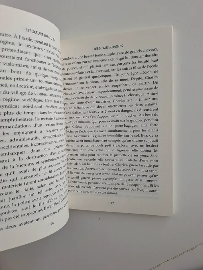 Livre les sœurs jumelles - photo numéro 4