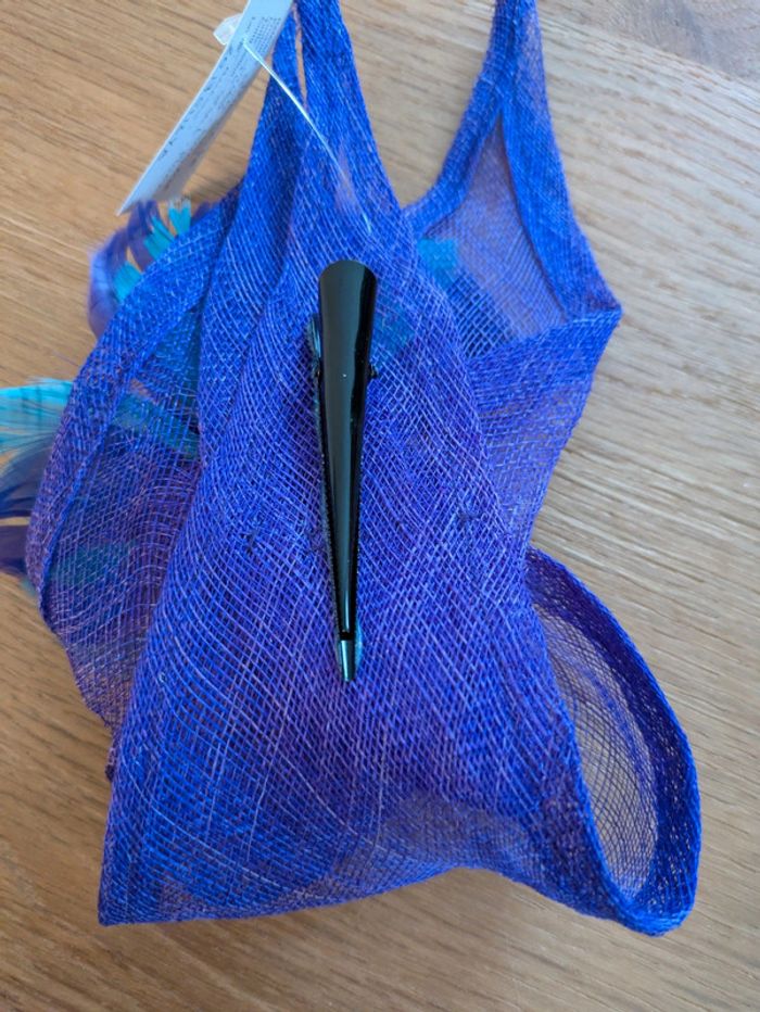 Pince violet et bleu - photo numéro 5