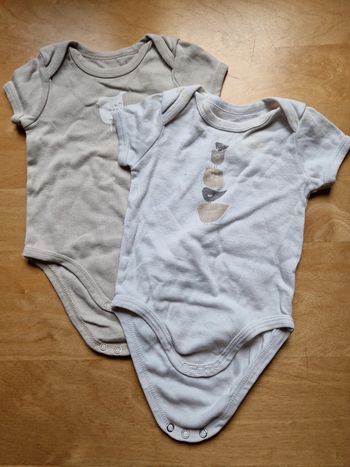 Lot 2 bodies oiseaux 6M