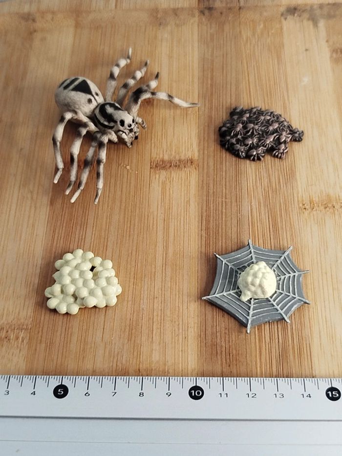 Cycle de vie de l'araignée Figurine Animal de la campagne - photo numéro 6