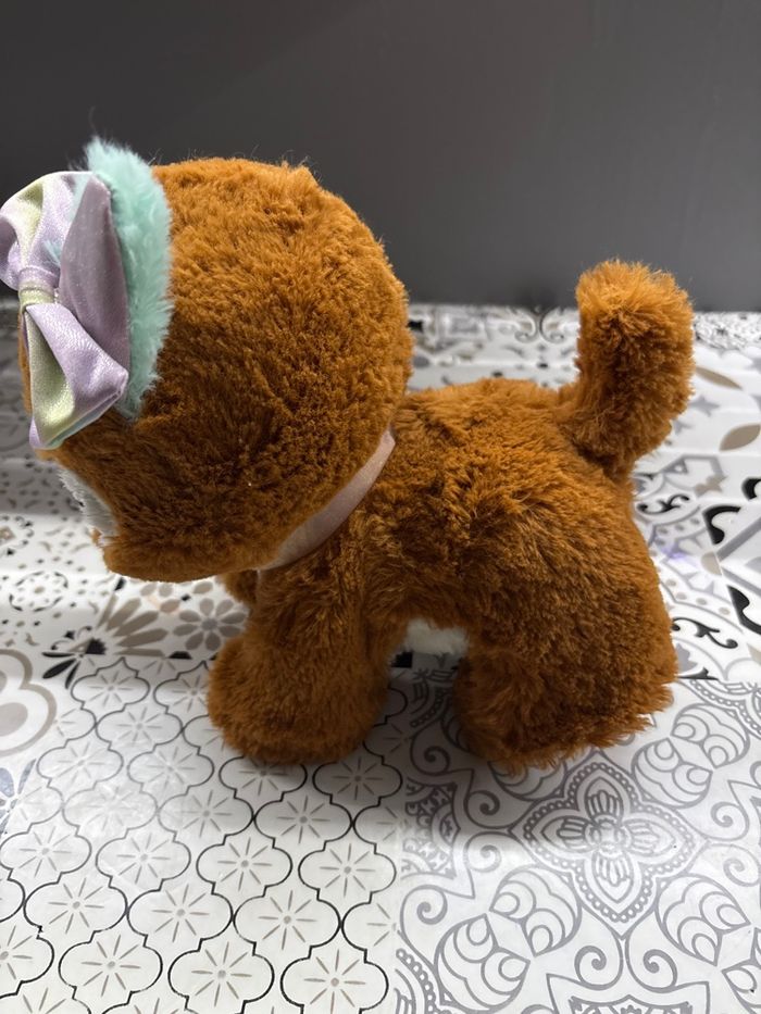 Cocoa chien present - photo numéro 2