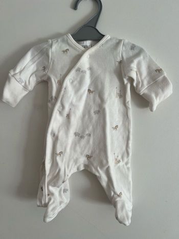 Pyjama safari 50cm