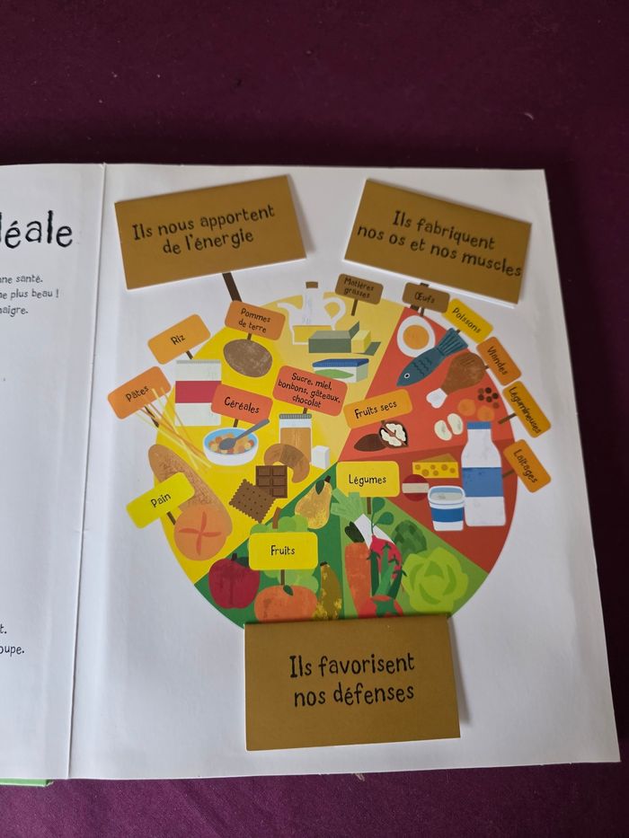Livre pop-up bien manger - photo numéro 3