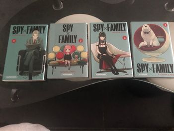 Le lot de 4 manga Spy x family 15€ le lot et l’unité est à 5€ le livre me dire avant achat quel livre vous souhaitez