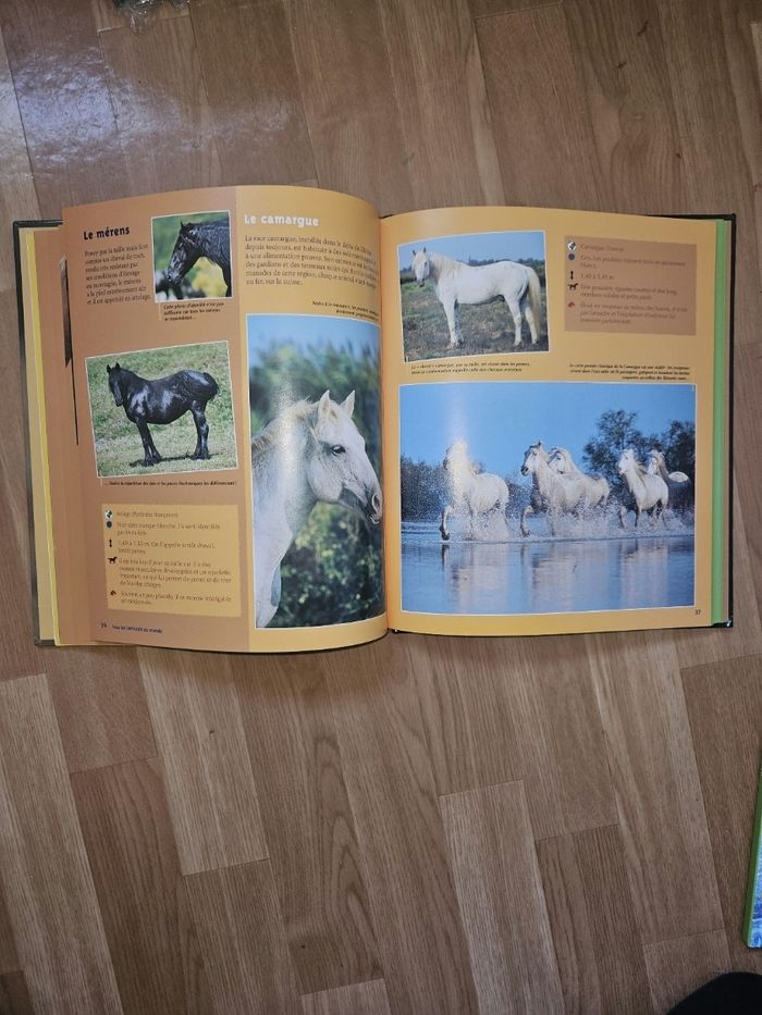 Livre tous les chevaux du monde de jean Michel lang - photo numéro 3