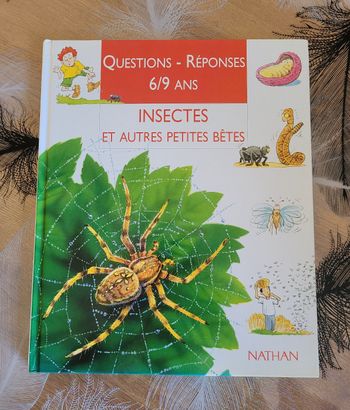 Insectes et autres petites bêtes Amanda O'Neil, Chris Forsey (Illustrations)