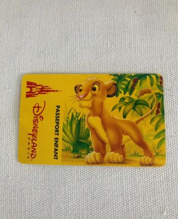 Carte passeport enfant entrée souvenir collector Disneyland