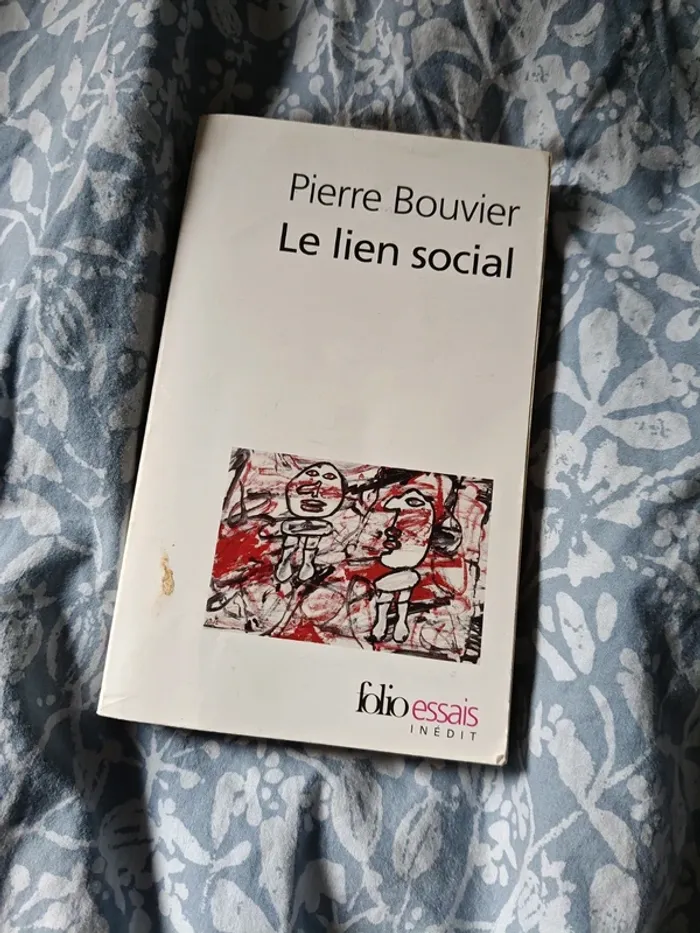 Pierre Bouvier Le lien social
