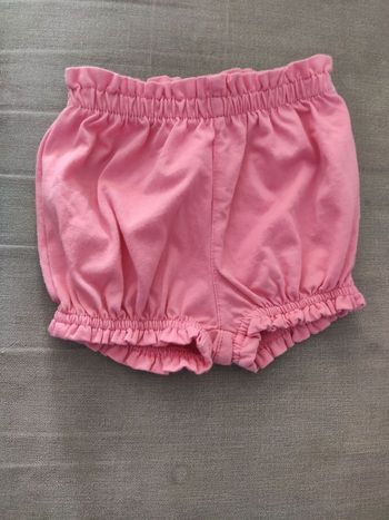 Short rose 12mois