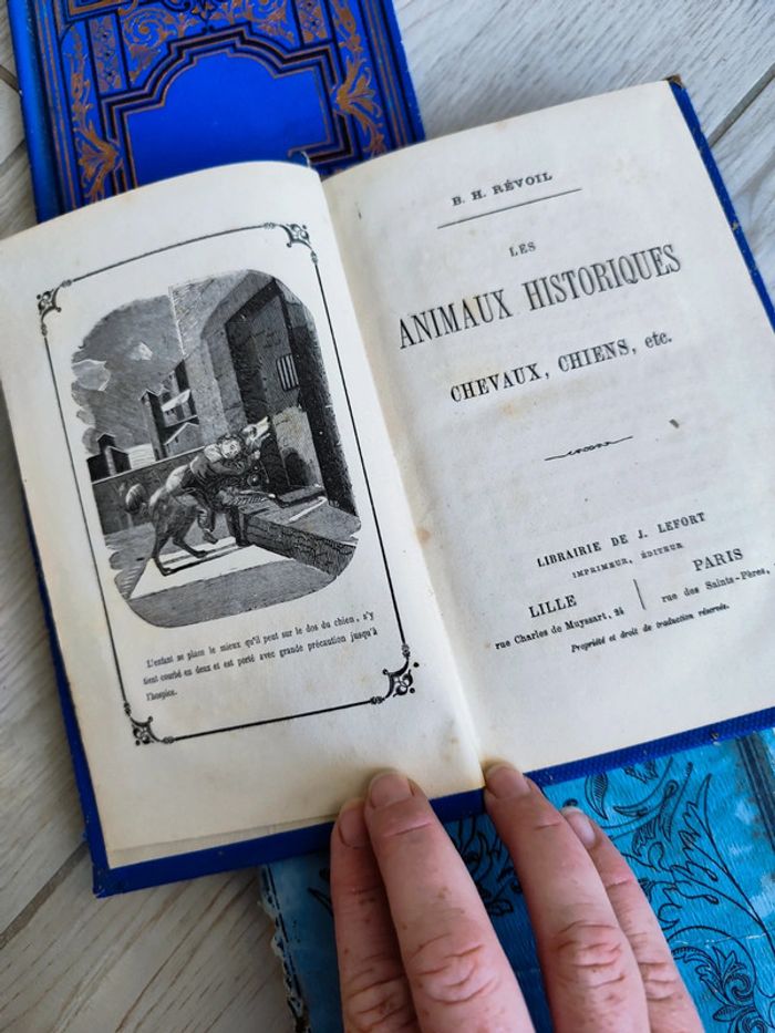 Livres anciens - photo numéro 9