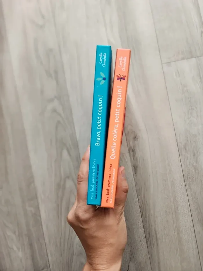 Lot livres a rabats Bravo petit coquin et quelle colère petit coquin - photo numéro 2