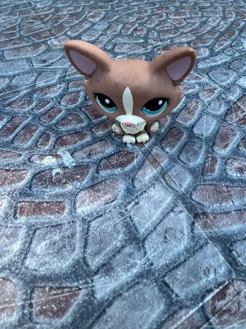 Petshop chien 🐱🐶 Vintage collectors