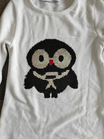 Pull chouette sequins