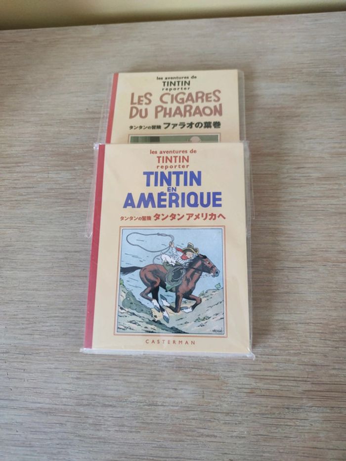 2 Tintin en japonais