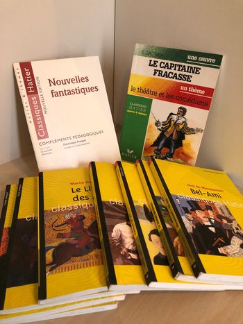 Lot de 10 livres Classiques Hatier oeuvres et thèmes compléments pédagogiques de Dominique Fouquet