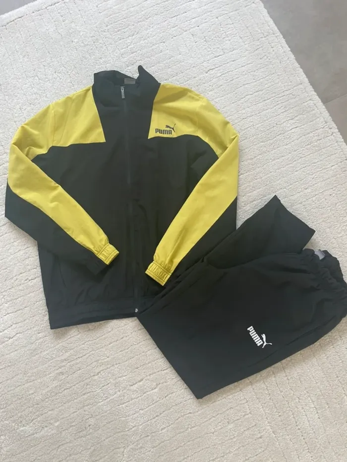 Ensemble Puma