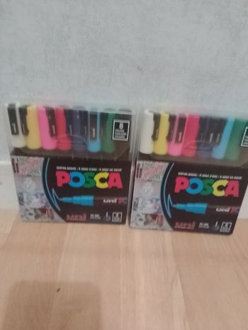 1 étui Posca x8