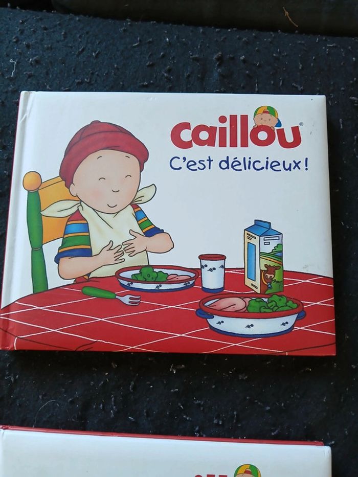 Lot de 2 livres caillou - photo numéro 3