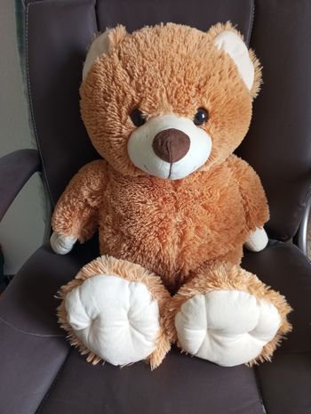 Nounours marron 
