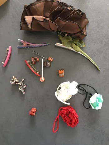 Articles pour cheveux