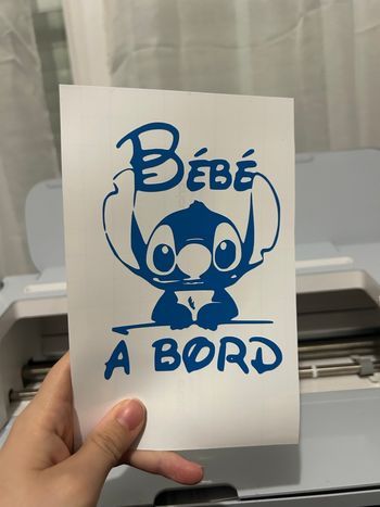 Bébé à bord personnalisé 