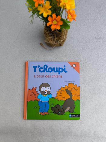 Livre T'choupi n°34