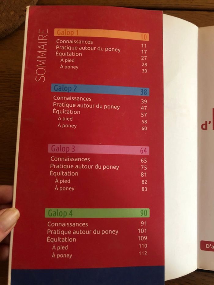 Préparation aux galops 1 à 4 - photo numéro 3