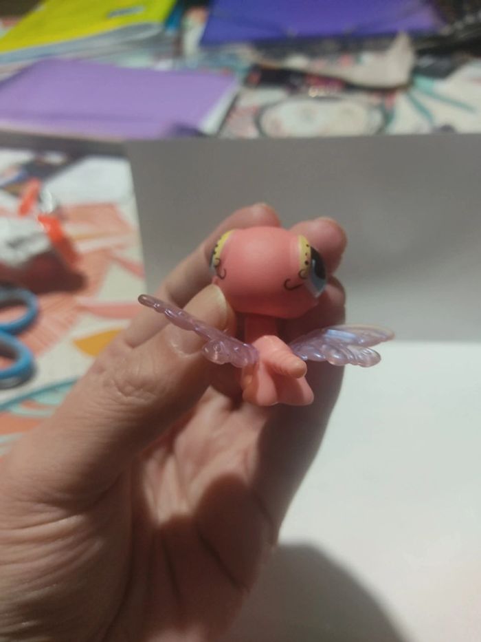 Libellule petshop - photo numéro 4