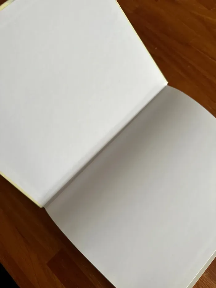 Livre kalligraphie - photo numéro 5