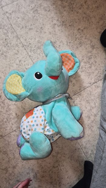 Éléphant qui marche seul