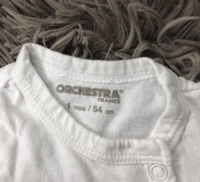 Body - photo numéro 2