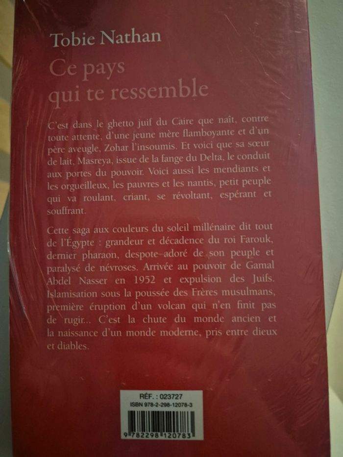 Livre ce pays qui te ressemble - photo numéro 3