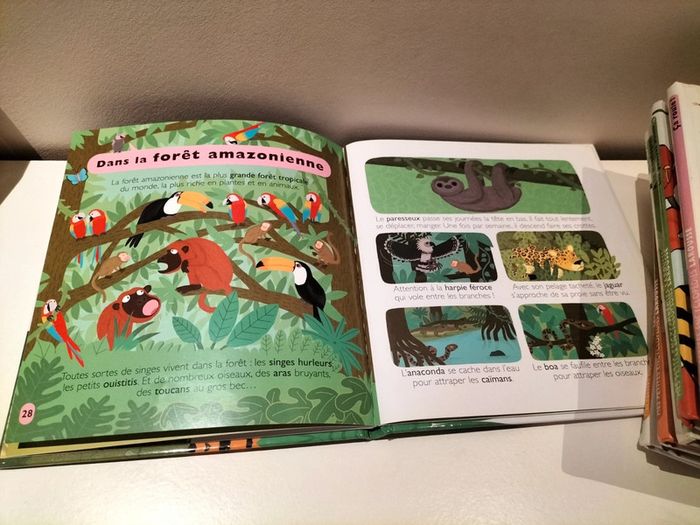 Lot de 8 documentaires Mes petites encyclopédies - photo numéro 13