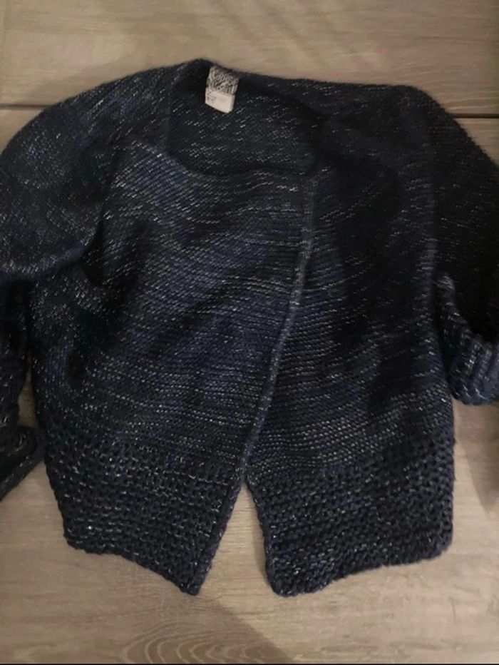 Lot Gillet - photo numéro 2