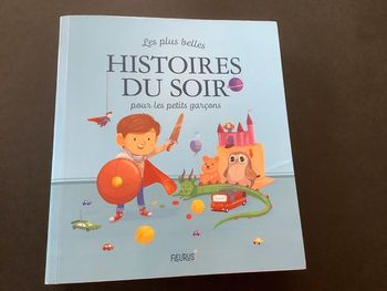 Les plus belles histoires du soir pour les garçons