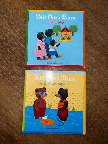 lot 2 livres petit ours brun