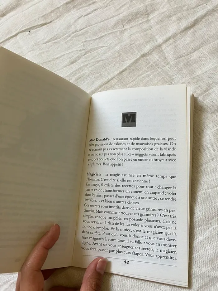 Livre enfant – Dictionnaire pour rire et réfléchir – Franck Schmid - photo numéro 6