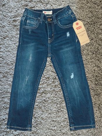 Jean Levi's