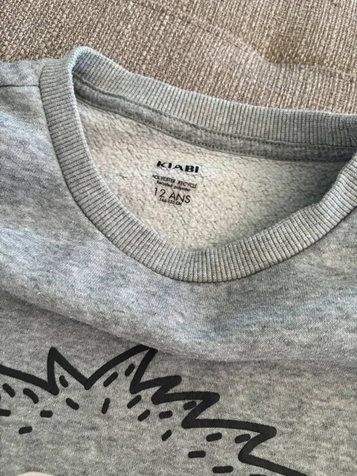 Sweat molleton gris 12 ans - photo numéro 4