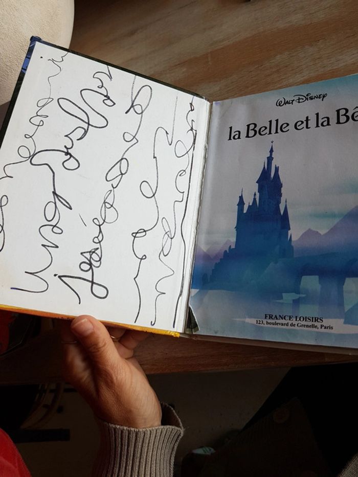 lot de 2 livres Disney - photo numéro 7