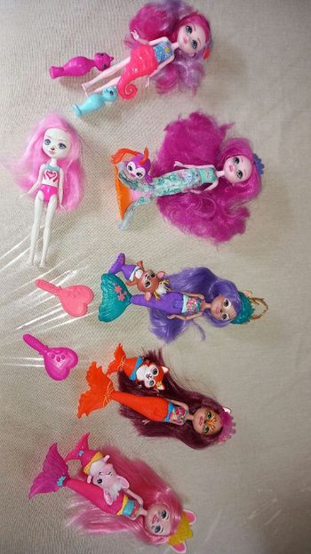 Enchantimals