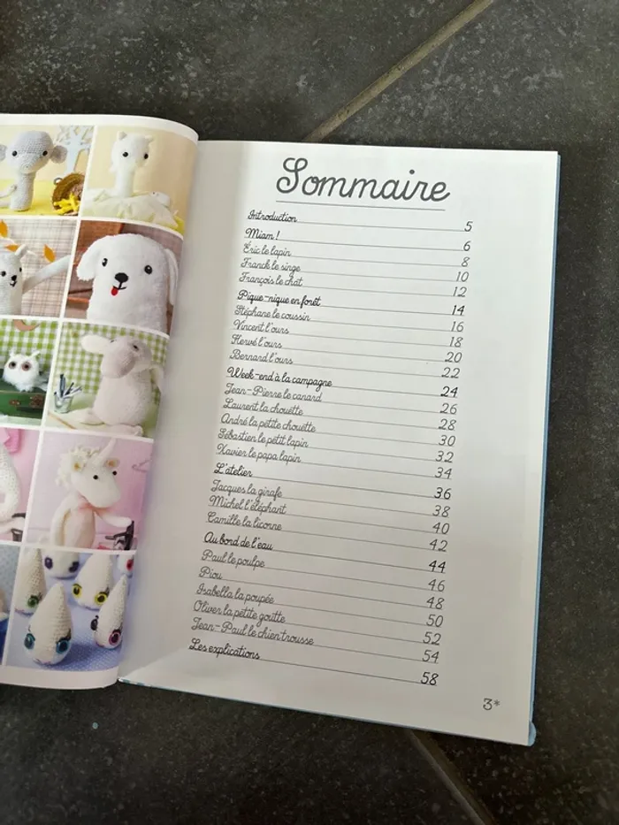 Livre mes doudous au crochet - photo numéro 6