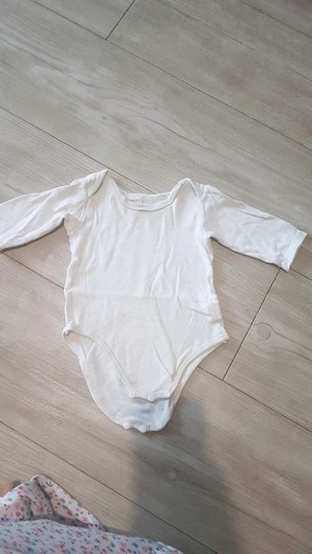 Bodie 3 mois