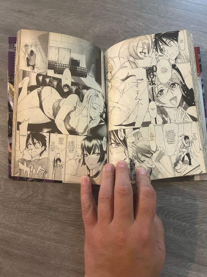 Highschool of the dead mangas - photo numéro 2