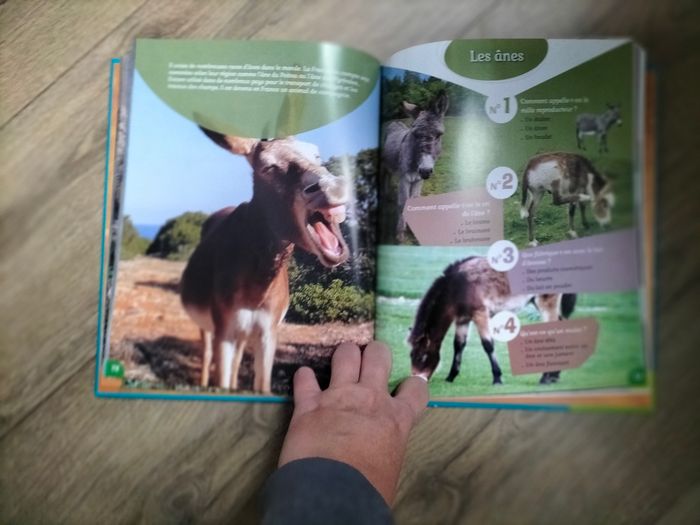 Livre 169 questions/réponses animaux - photo numéro 4
