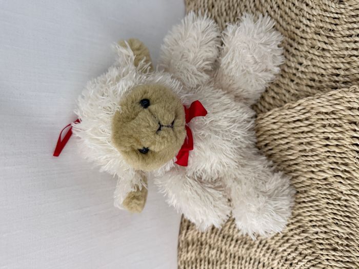 Peluche mouton. Agneau - photo numéro 4